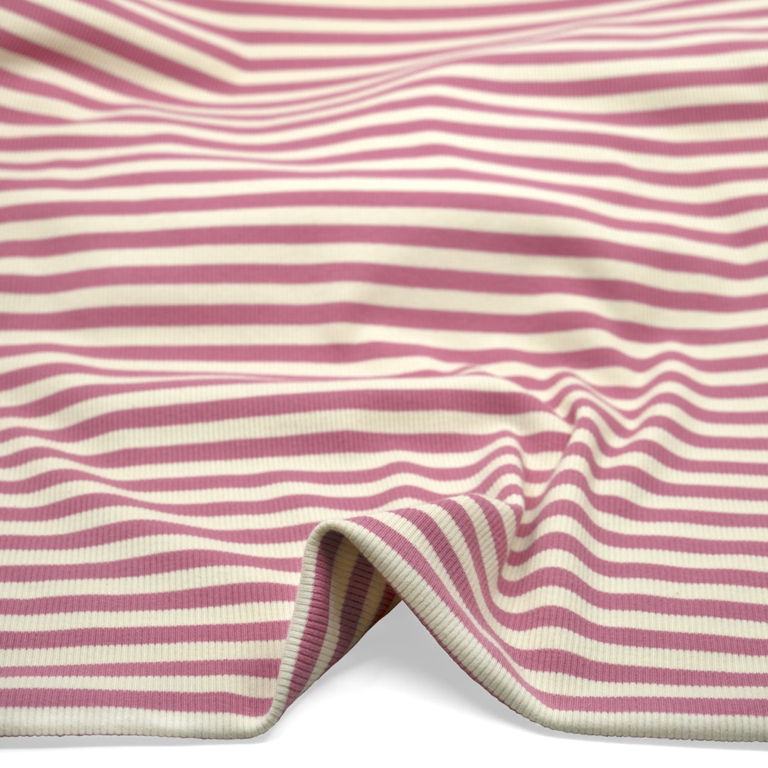 Sugar Stripe Cotton Rib Knit - Tulip | Blackbird Fabrics