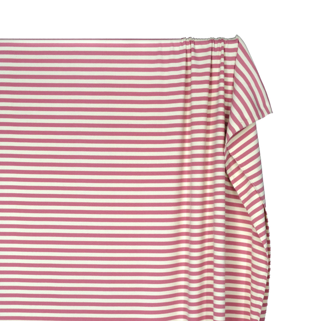Sugar Stripe Cotton Rib Knit - Tulip | Blackbird Fabrics