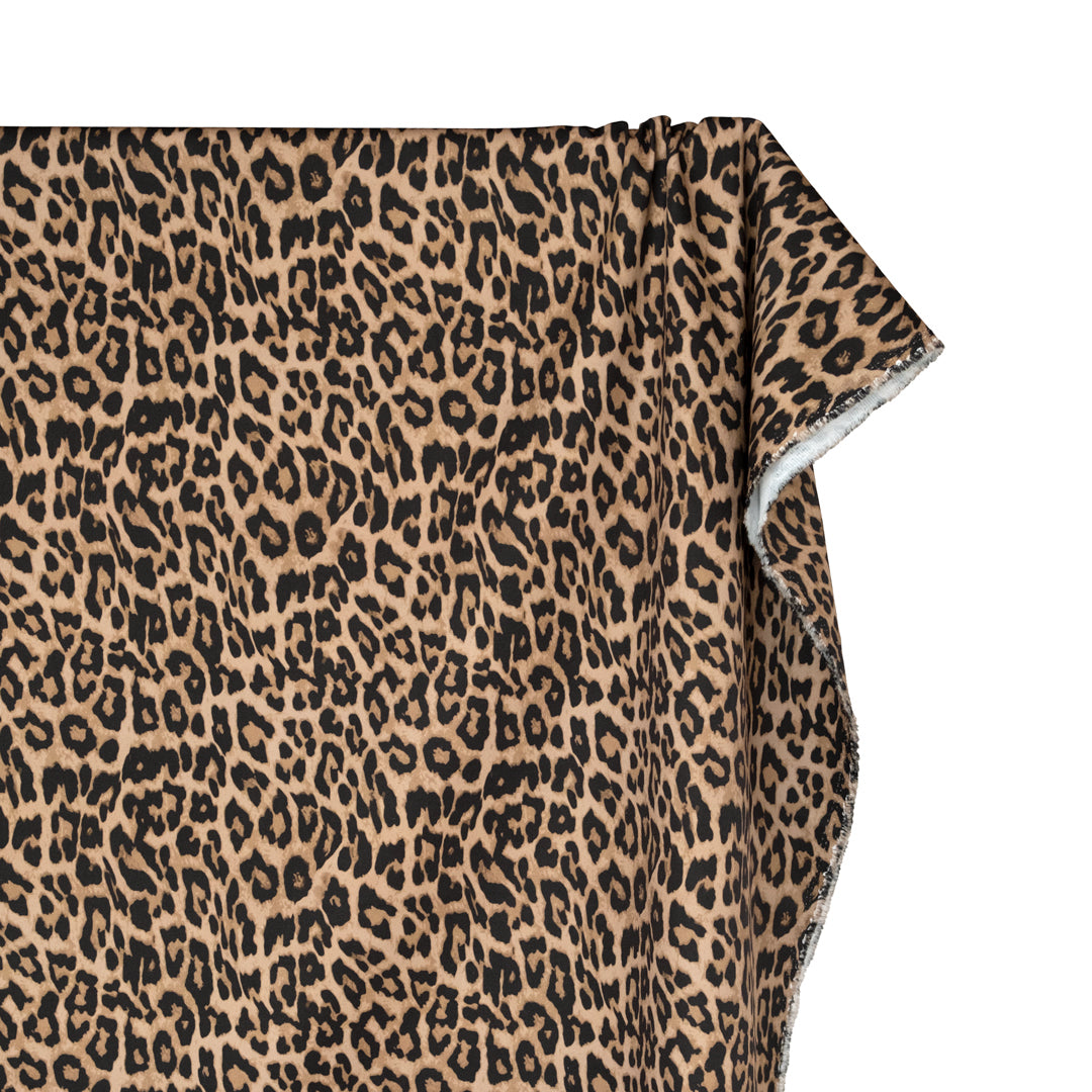 Cool Cat Printed Cotton Twill - Latte | Blackbird Fabrics