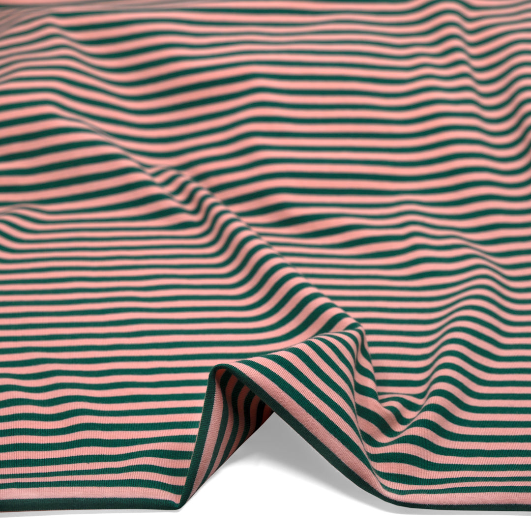 Skinny Sport Stripe Cotton Jersey - Peach/Pine | Blackbird Fabrics