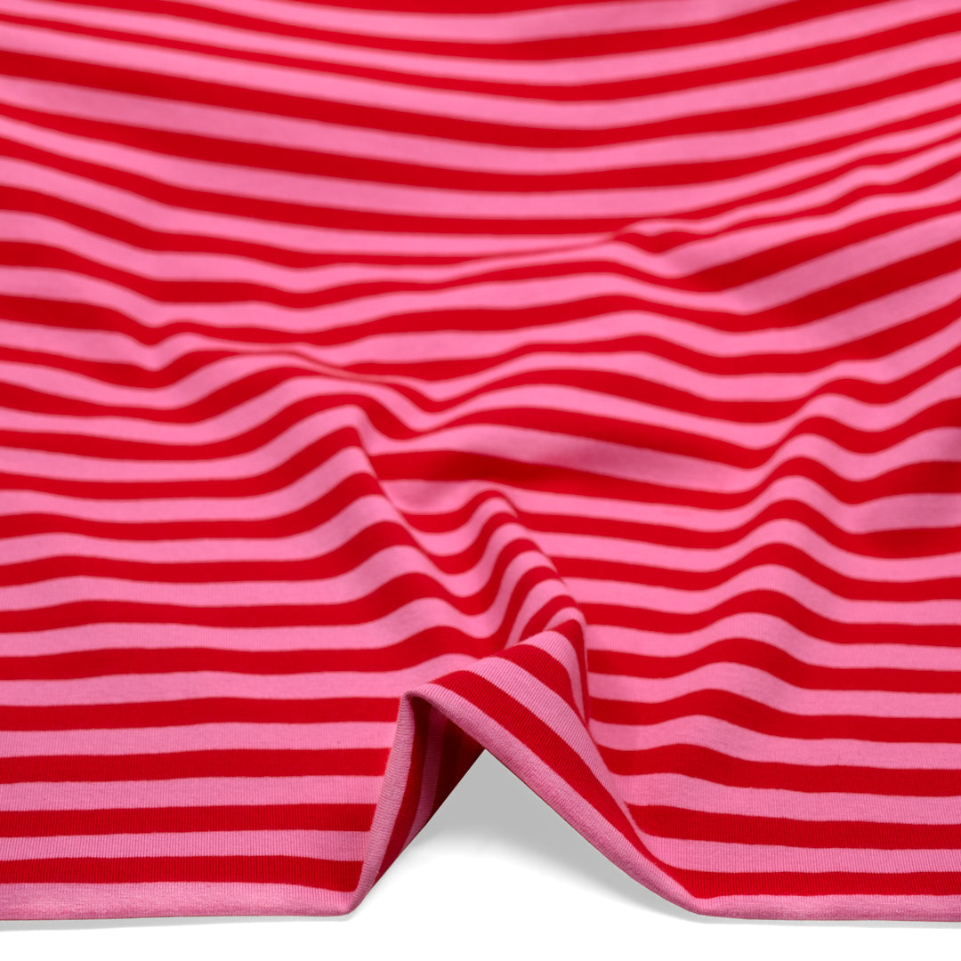 Sport Stripe Cotton Jersey - Frosting/Poppy | Blackbird Fabrics