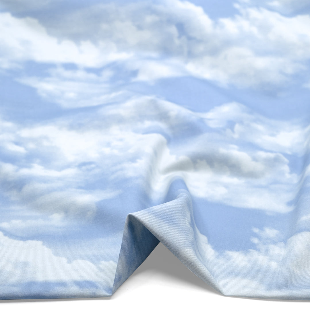 Cloudy Skies Organic Cotton Jersey - Baby Blue/Ivory | Blackbird Fabrics