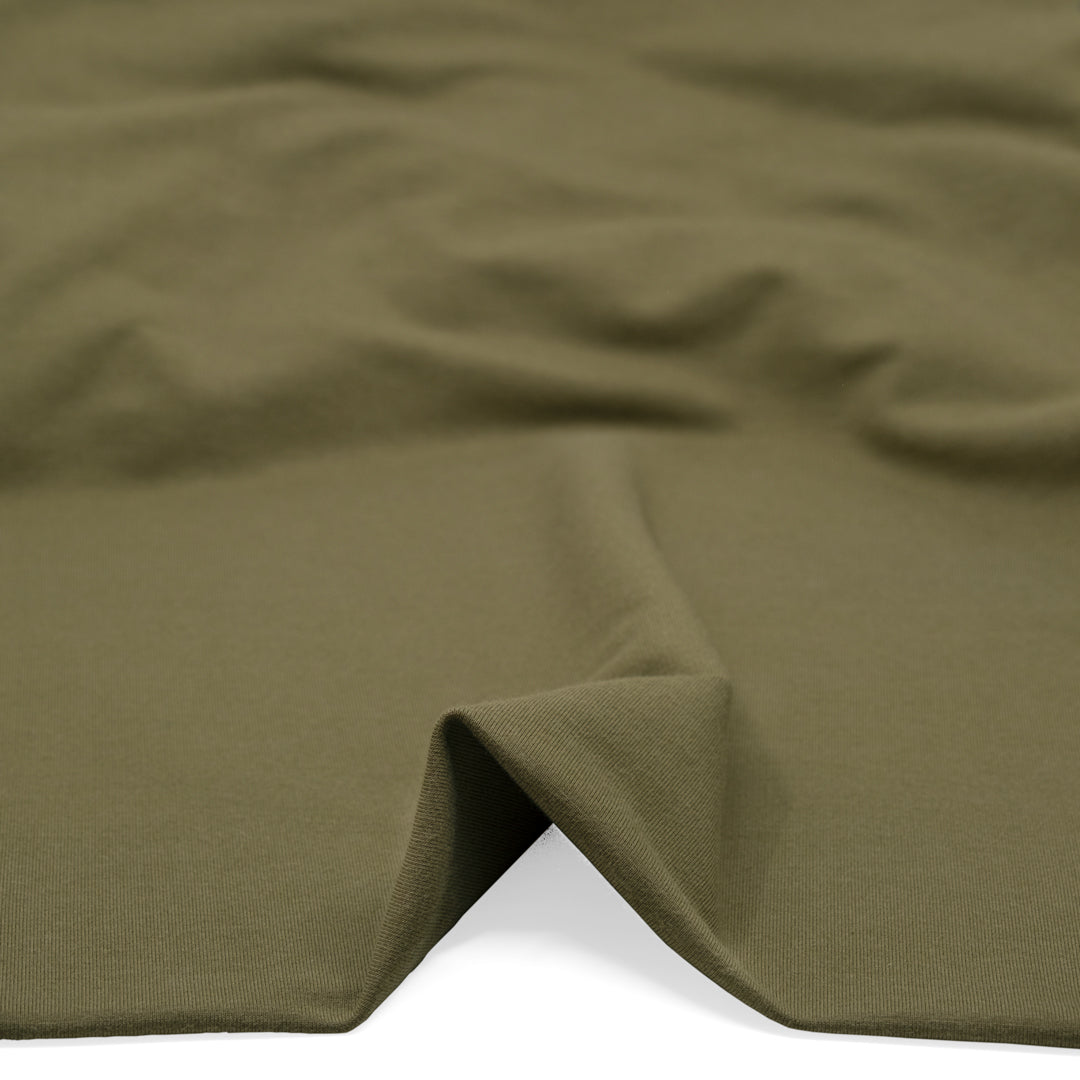 Day Off French Terry - Light Sage | Blackbird Fabrics