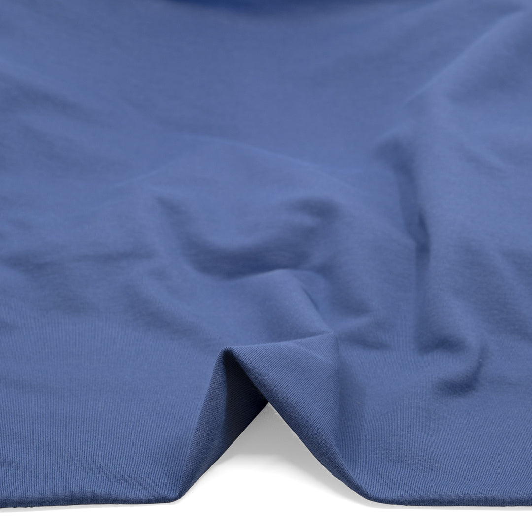 Day Off French Terry - Cornflower | Blackbird Fabrics