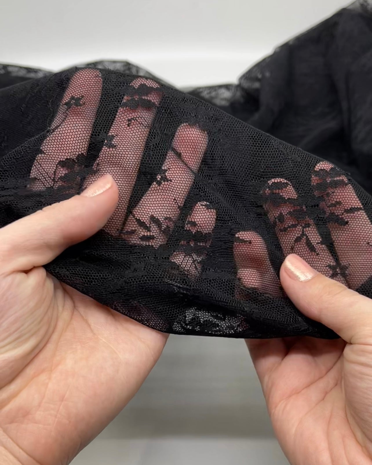 Deadstock Onyx Mesh Lace - Black | Blackbird Fabrics