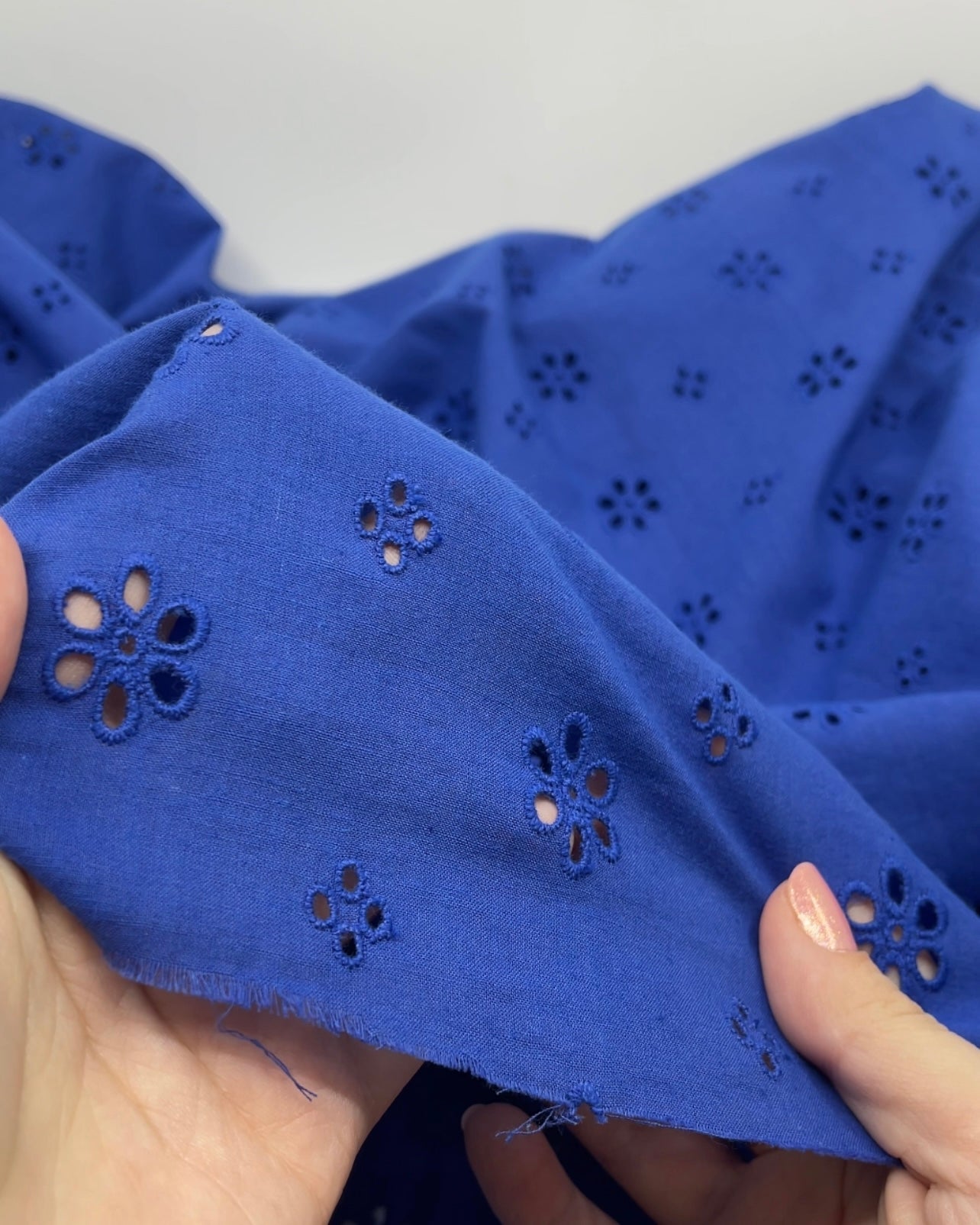 Garden Whispers Cotton Eyelet | Blackbird Fabrics