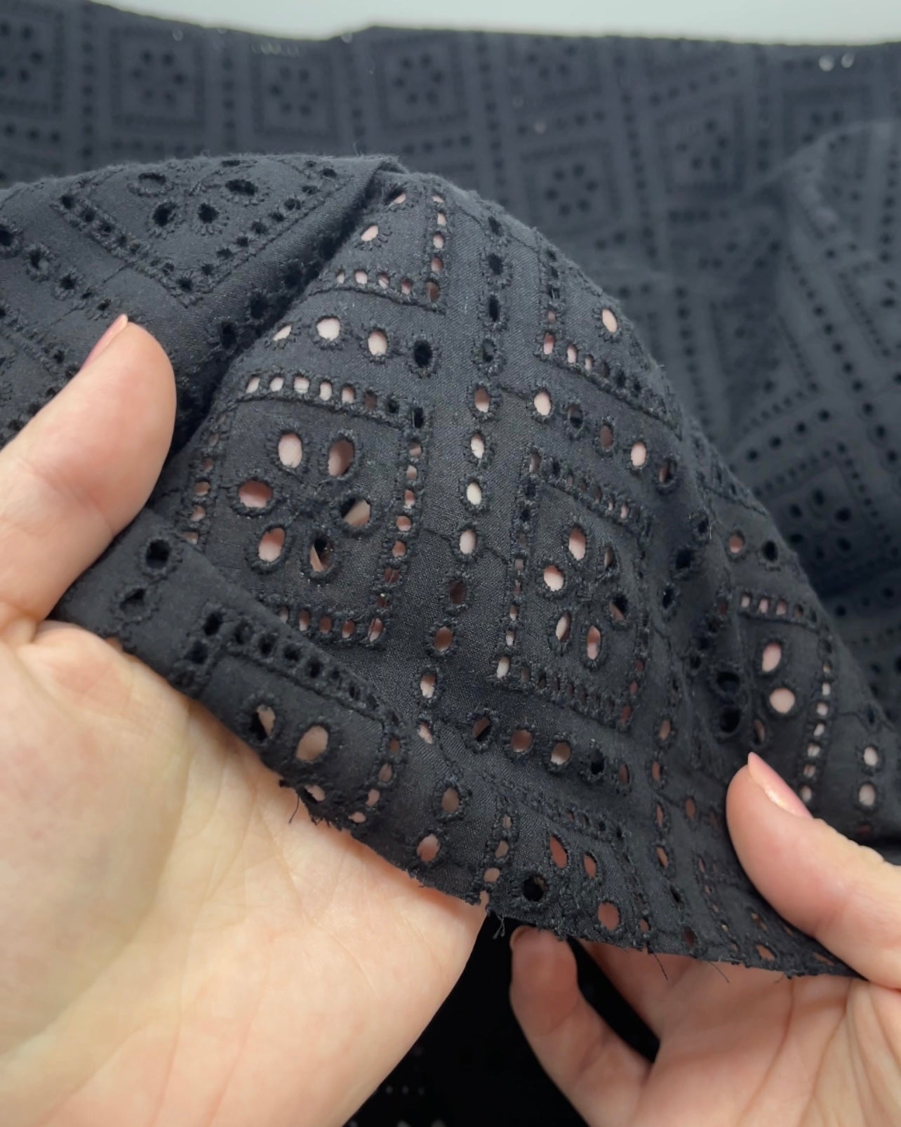 Timeless Trellis Cotton Eyelet | Blackbird Fabrics