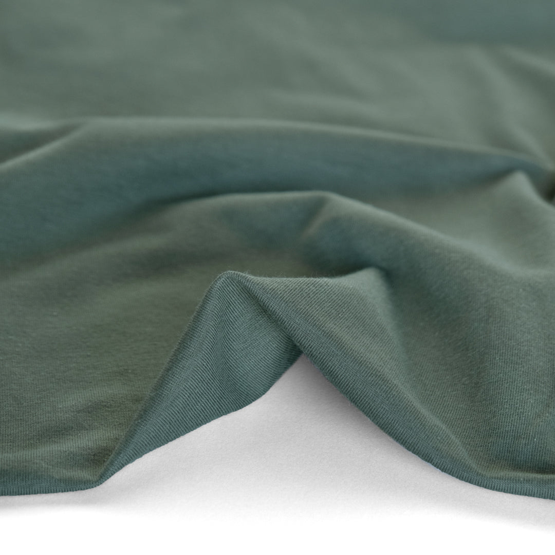 Cotton Modal Jersey Knit - Dusty Jade | Blackbird Fabrics