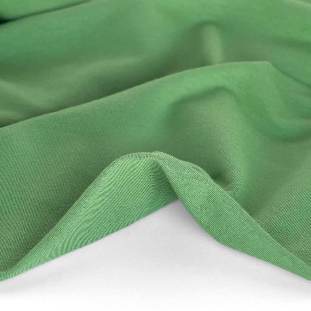 Day Off French Terry - Grass | Blackbird Fabrics