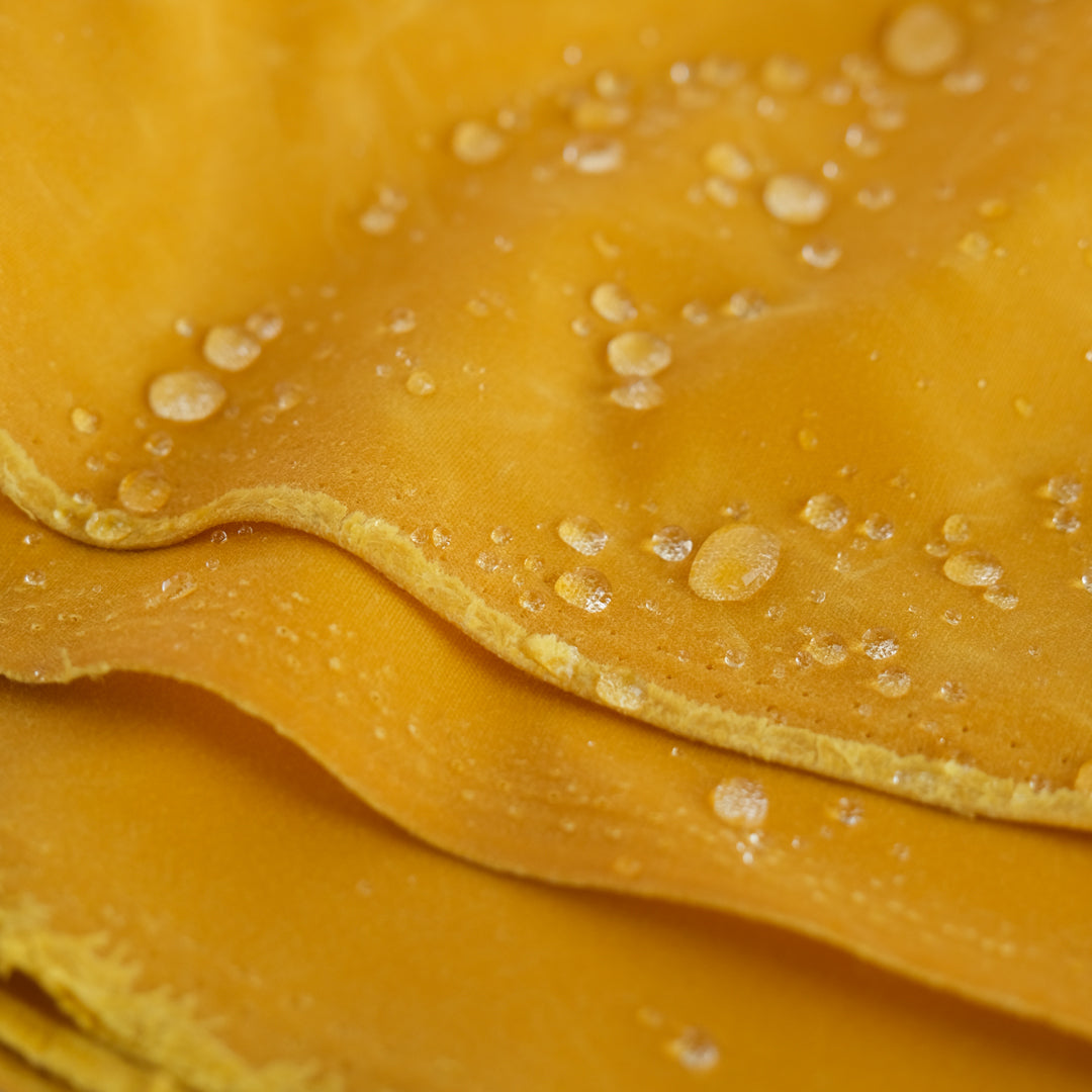 Waxed Cotton Canvas - Canary