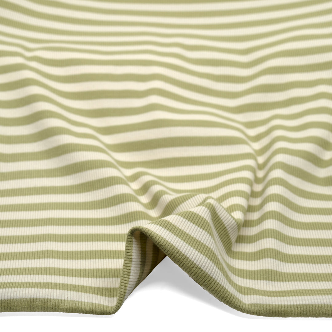 Sugar Stripe Cotton Rib Knit - Daiquiri | Blackbird Fabrics