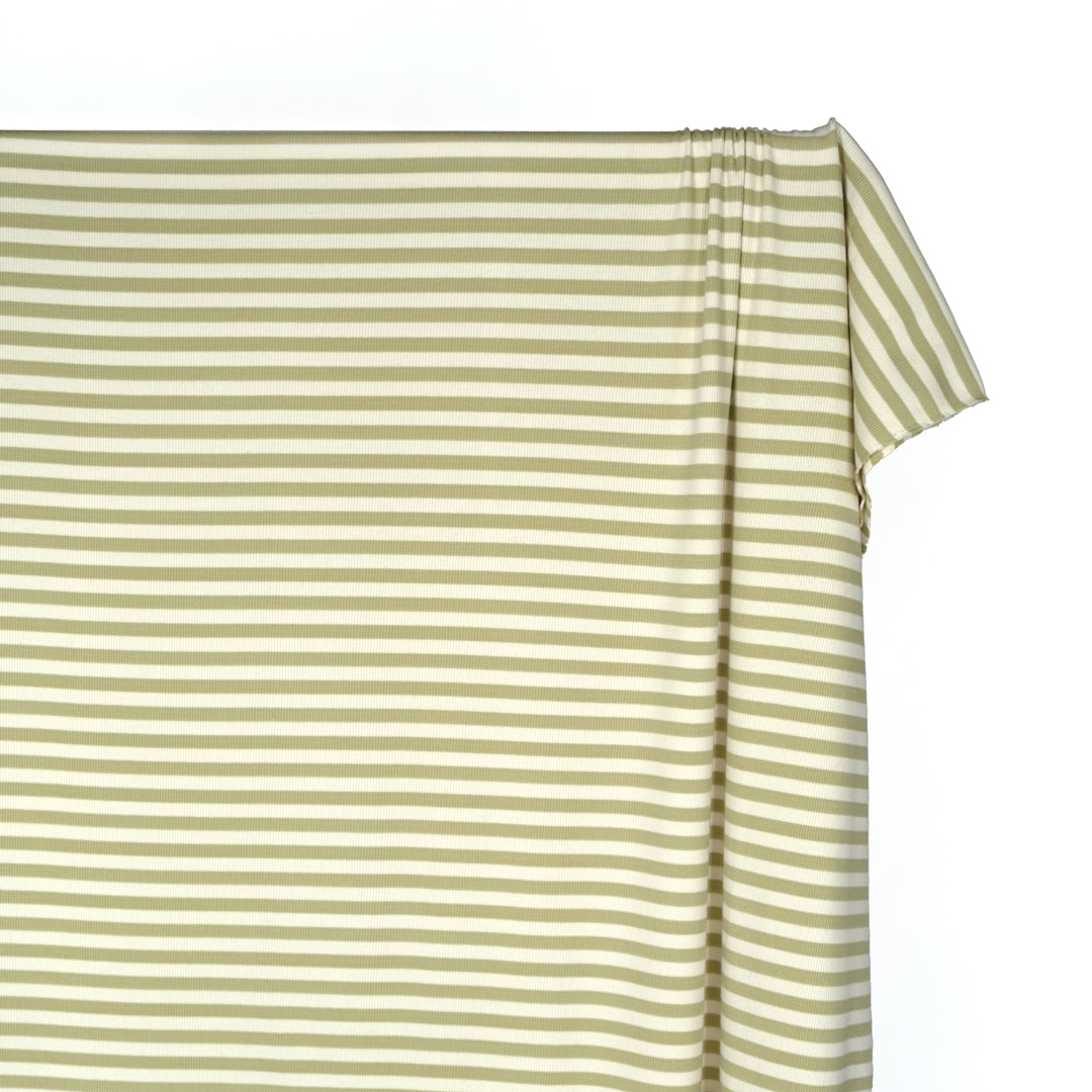 Sugar Stripe Cotton Rib Knit - Daiquiri | Blackbird Fabrics