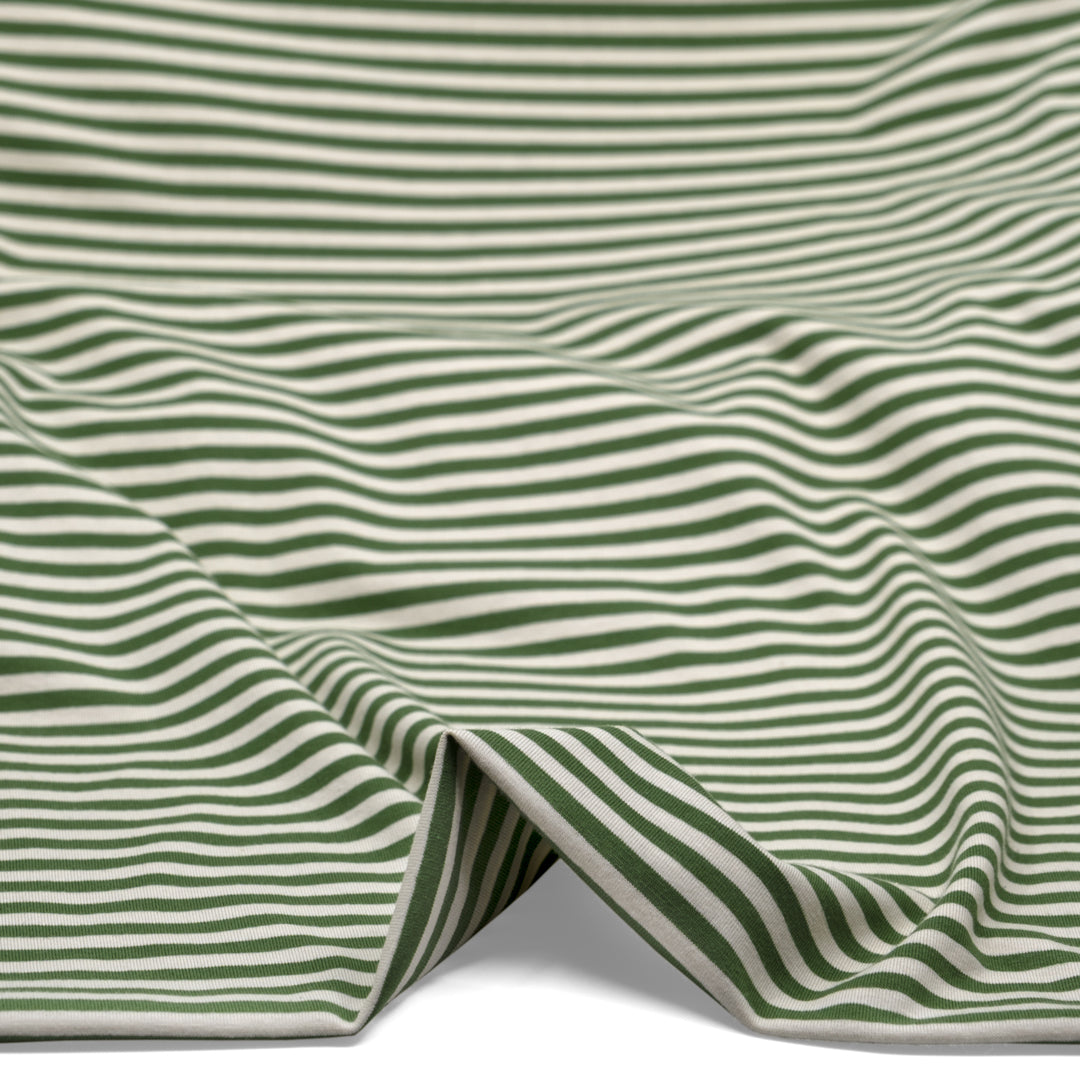 Skinny Sport Stripe Cotton Jersey - Dill/Cream | Blackbird Fabrics