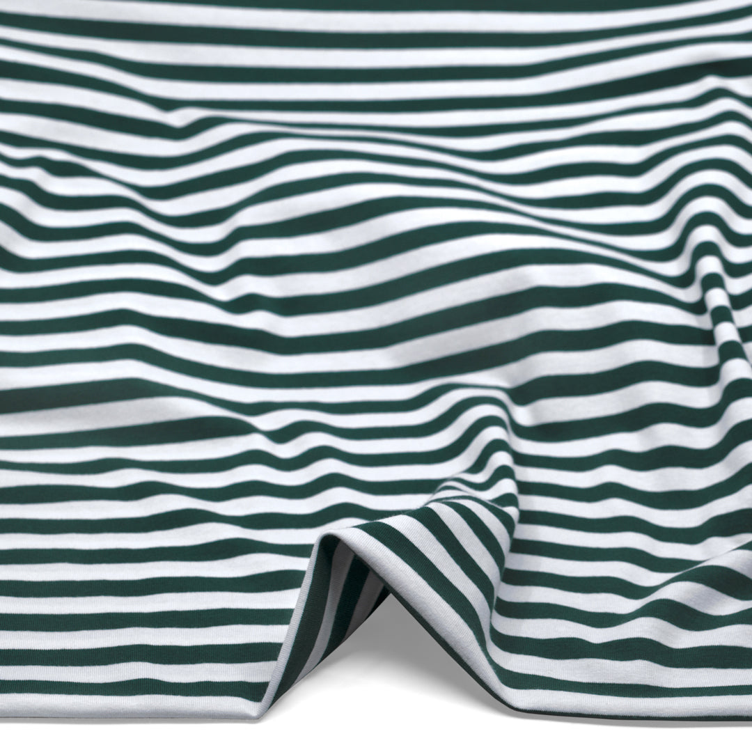 Sport Stripe Cotton Jersey - Midnight Spruce/White | Blackbird Fabrics