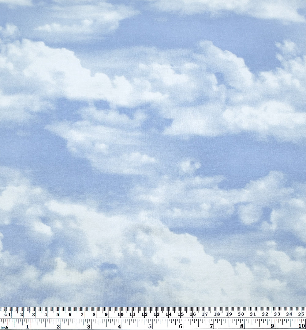 Cloudy Skies Organic Cotton Jersey - Baby Blue/Ivory | Blackbird Fabrics