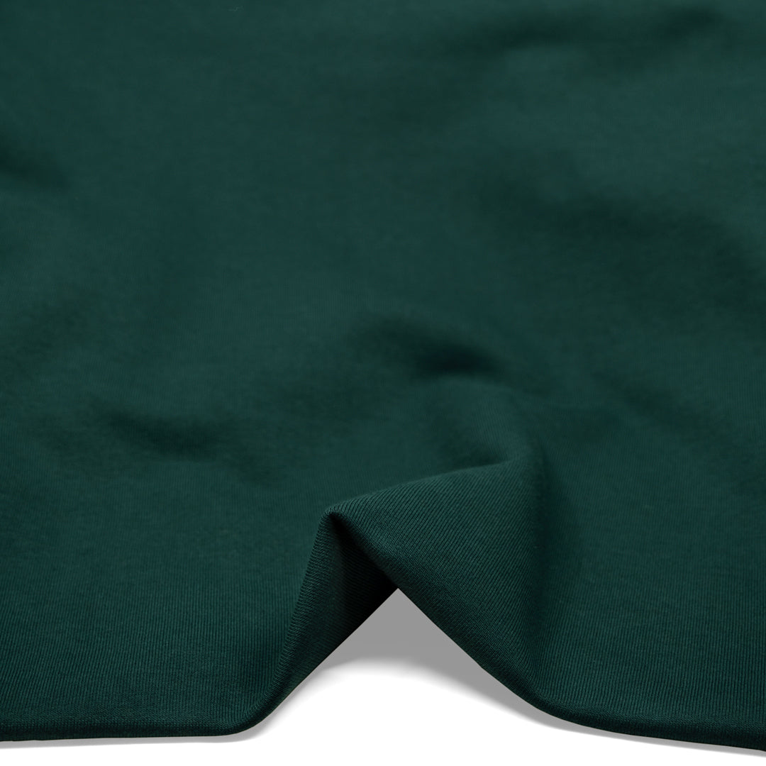 Laidback 100% Cotton Sweatshirt Fleece - Spruce | Blackbird Fabrics