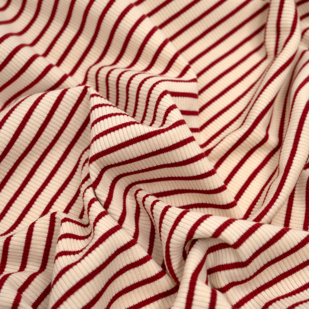 Café Stripe Cotton Rib Knit - Cream/Cherry | Blackbird Fabrics