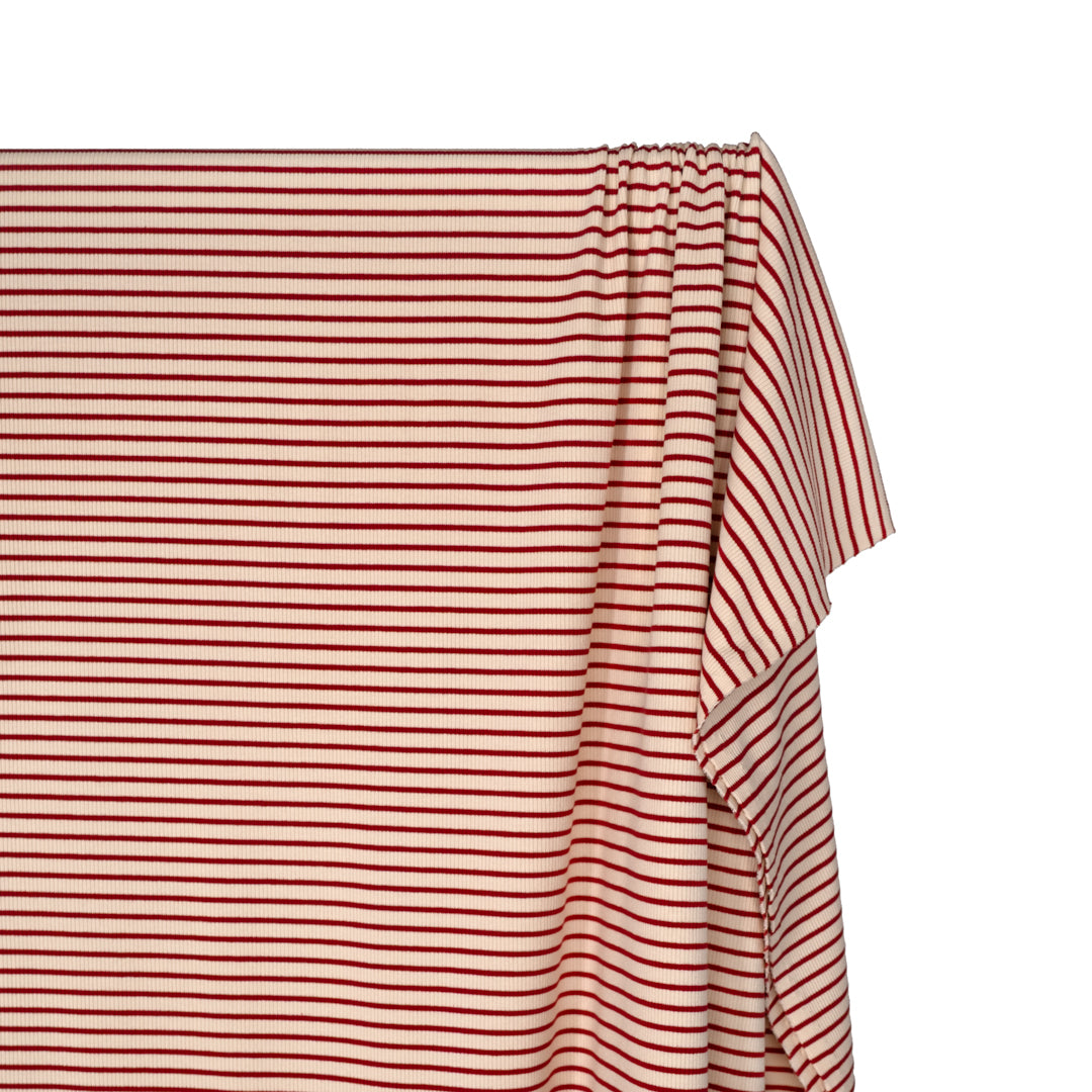 Café Stripe Cotton Rib Knit - Cream/Cherry | Blackbird Fabrics