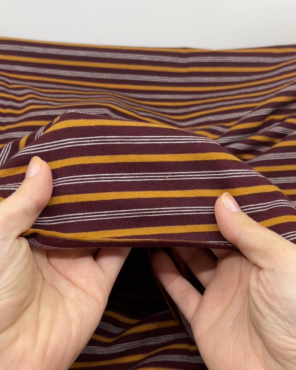 Polo Stripe Cotton Jersey | Blackbird Fabrics