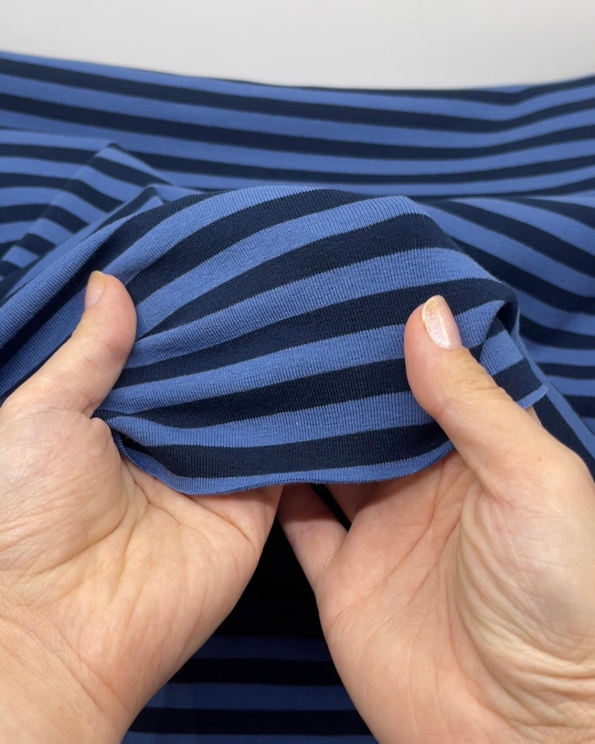 Rugby Stripe Midweight Cotton Knit | Blackbird Fabrics