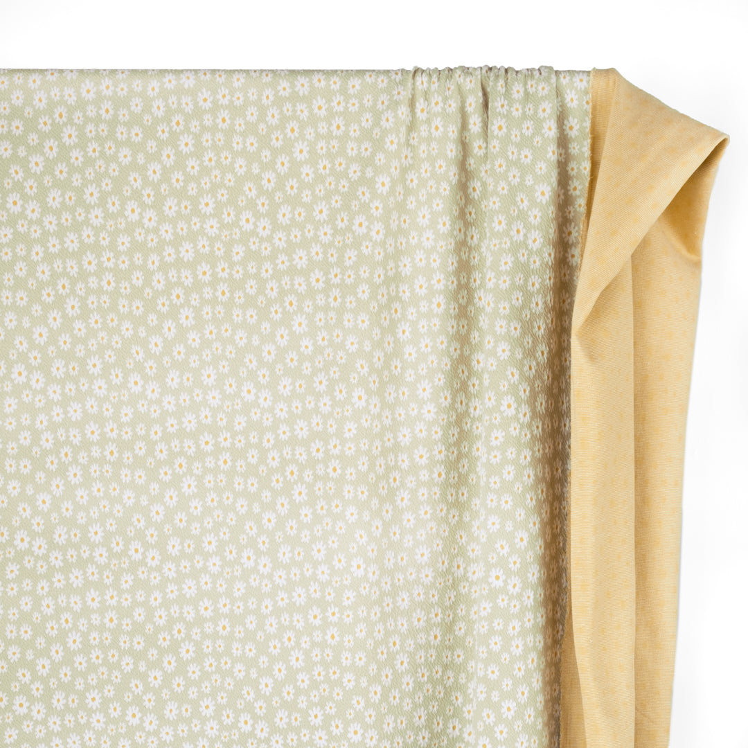 Meadow Daisy Cotton Double Knit - Pistachio | Blackbird Fabrics